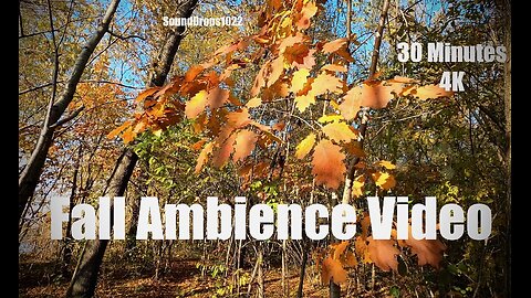 30 Minutes of Tranquil Autumn Ambiance 🌳