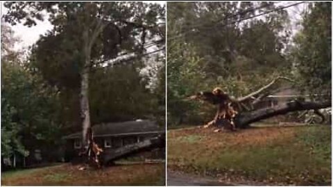 Puu tuhoaa talon Pohjois-Carolinassa