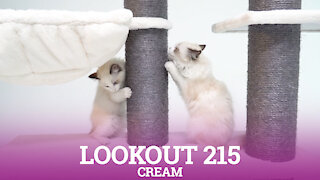 Petrebels cat trees - Lookout 215 - Cream