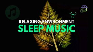 Sleep Environment Music for a Relaxing Bedtime Routine