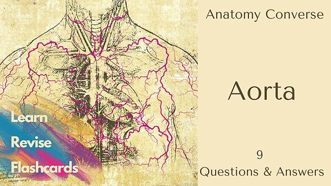 Aorta Anatomy Flashcards | 9 Questions and Answers