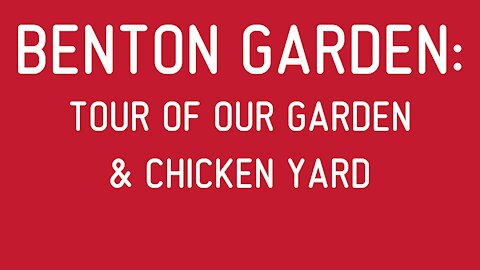 Benton Garden: Tour of Our Garden & Chicken Yard