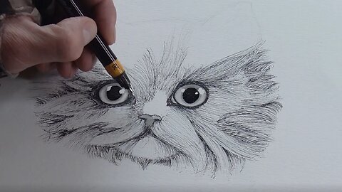 How to Draw a Kitten - Work in Progress - Tutorial Coming Soon