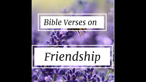 5 Bible Verses on FRIENDSHIP love #shorts 2//Scriptures on friendship// verses about friendship