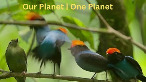 Our Planet | One Planet | FULL EPISODE #PK005 #4927OurPlanet