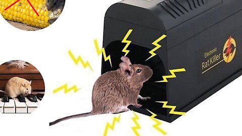 Electric Shock Mousetrap Pest Control EU US UK Plug