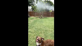 Sierra trying to get that hose