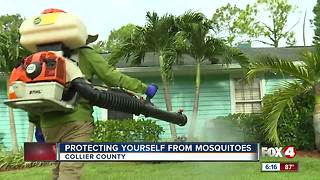 Mosquito control tips to help fight the bite