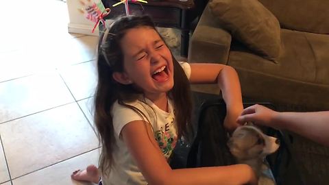 New Puppy Surprise Moves Little Girl To Tears Of Joy