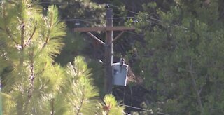 NV Energy monitoring fire risk on Mount Charleston,