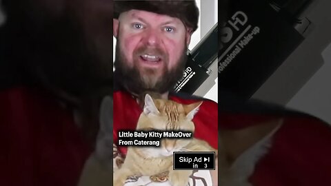 Viral TikToker Sells Makeup for Cats! Ridiculous! #funny #cat