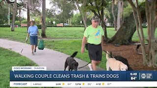 Dunedin walkers help train dogs and clean up the area