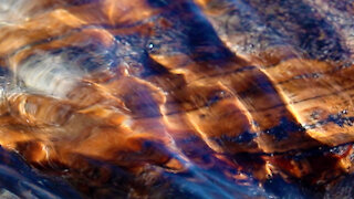 Water rushing over driftwood :Meditative moment: