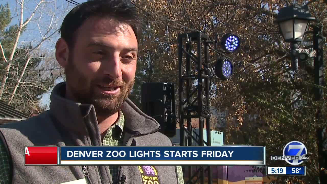 Denver Zoo Lights - Pixel Tree