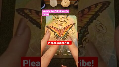 Transformation & Wisdom 🦋 Spiritual Message for this week 31st Oct - 6th Nov 22 #energyupdate #tarot