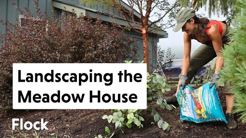 WEEDY BED Transformed to Beautiful Garden for MEADOW HOME — Ep. 123