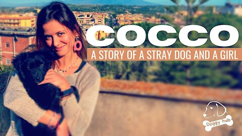 COCCO- Beautiful Life story of an abandoned dog rescued by a Humble and Loving Girl|| Doggy hub