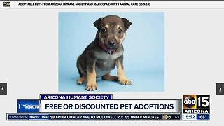 Free and discounted pet adoptions this weekend