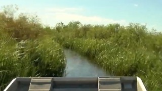 How to keep Lake Okeechobee clean?