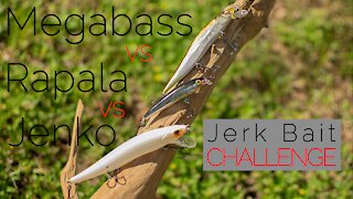 Jerk bait Fishing Challenge - Megabass VS Jenko VS Rapala