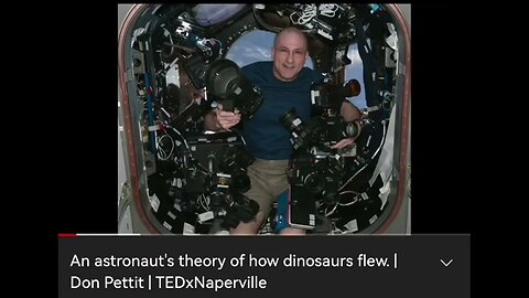 A Theory By Don Pettit On How Dinosaurs Flew ... 😂