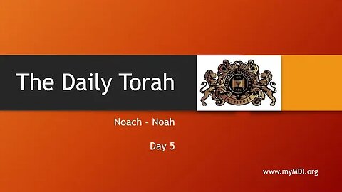 Noach / Noah - Day 5