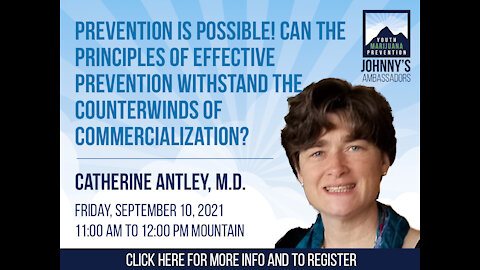 Can the principles of effective prevention withstand the counterwinds of commercialization?