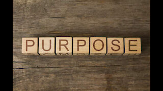 We All Need Purpose!