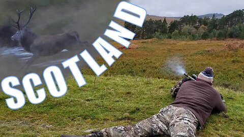 Scotland Stag Hunting | Deer Hinds & Bucks