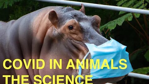 Covid in Animals - the Science
