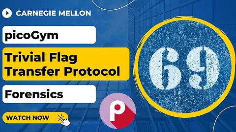 picoGym (picoCTF) Exercise: Trivial Flag Transfer Protocol