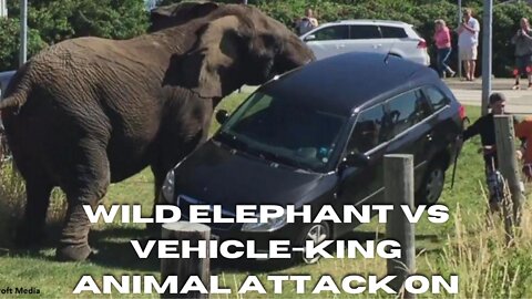 WILD ELEPHANT VS VEHICLE-King Animal attack on vehicle #wildanimals))))