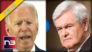 Newt Gingrich goes SCORCHED EARTH on Joe Biden for his Disgraced “Jobs” Plan