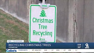 How to recycle your Christmas tree