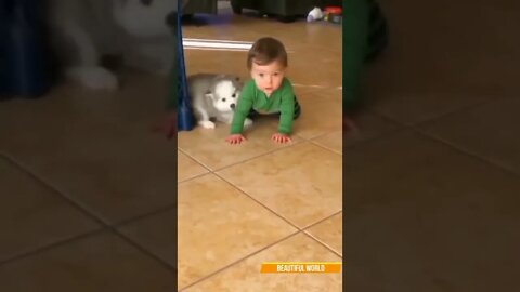 Cute dog is playing with baby🐶🐕 #shorts #dog
