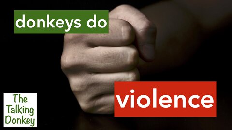 TD#9 | Donkeys Do Violence