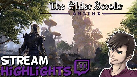ESO Leveling And PVP Stream Highlights - TheLazyPeon