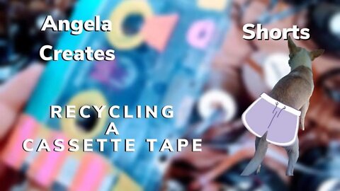 RECYCLE CASSETTE TAPES?