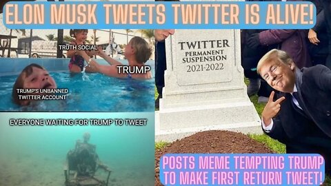 Elon Musk Tweets Twitter Is Alive! Posts Meme Tempting Trump To Make First Return Tweet!