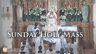 Holy Mass for the Fourth Sunday of Easter, April 25, 2021