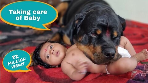 Jerry and Aaru are made for each other | Dog protecting baby | earn money online |