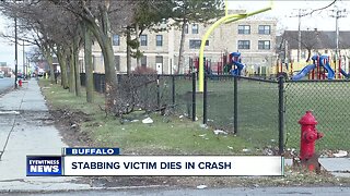 Stabbing victim dies after crashing car into tree