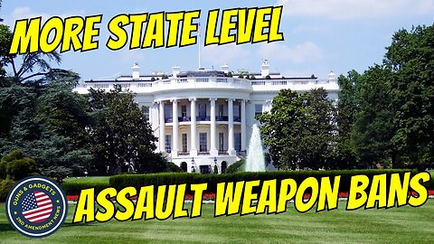 Their REAL Goal: More State Level Assault Weapons Bans