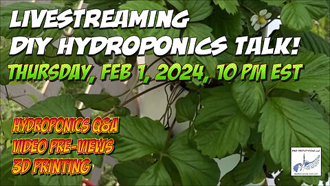Livestream Feb 1, 2024, 10 pm EST