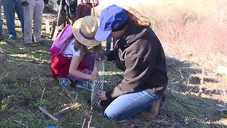 Planting shrubs in Hulls Gulch becomes a community effort in Boise