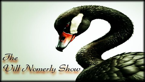 Black Swan! Black Swan! Black Swan!