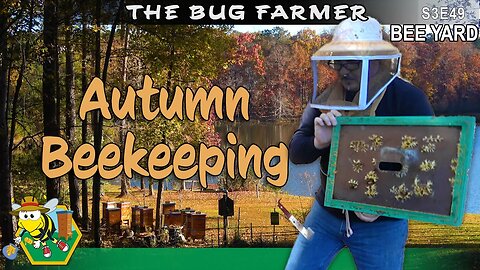 Fall Hive inspection | Getting a baseline assessment of the Army and Navy hives.