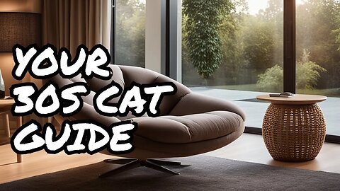Unlock the Secrets to Cat Care in Your 30s