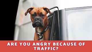 Are You Angry Because Of Traffic!