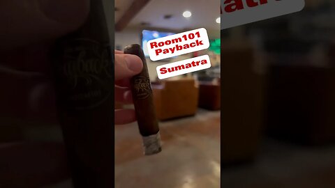 Quick Stick: Room101 Payback Sumatra #cigars #cigarlife #shorts